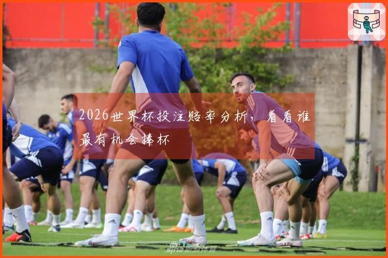 2026世界杯投注赔率分析，看看谁最有机会捧杯