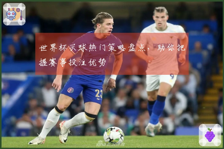 世界杯买球热门策略盘点，助你把握赛事投注优势