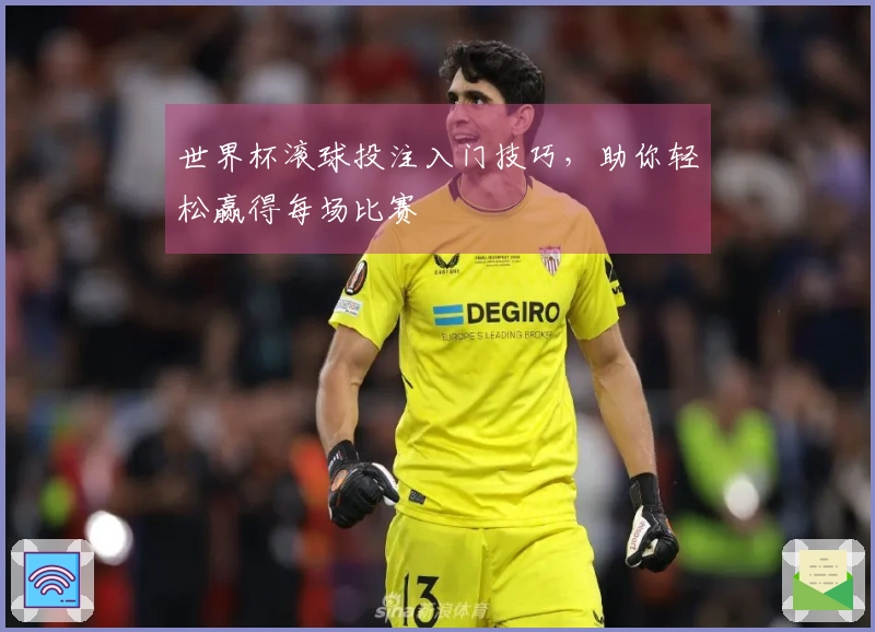 世界杯滚球投注入门技巧，助你轻松赢得每场比赛
