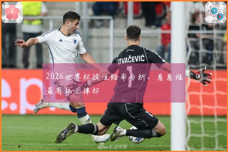 2026世界杯投注赔率分析，看看谁最有机会捧杯
