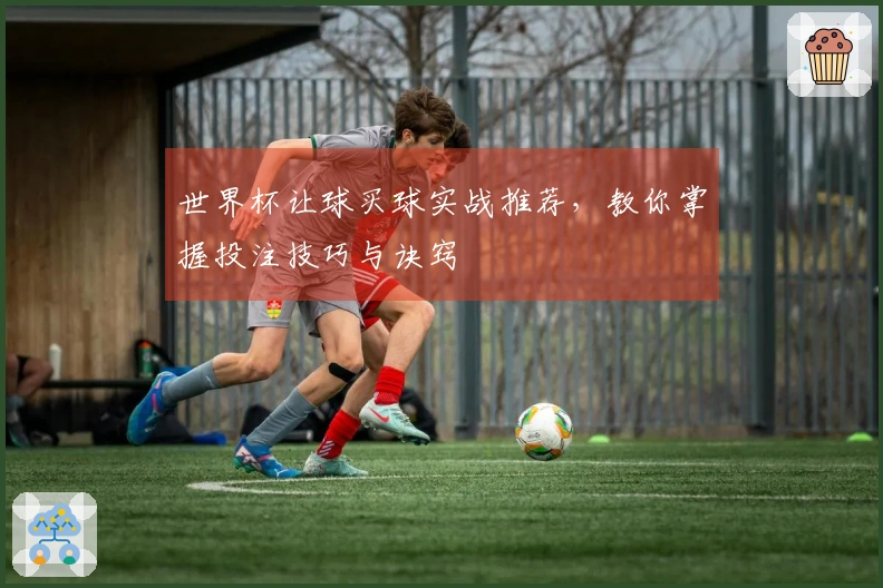 世界杯让球买球实战推荐，教你掌握投注技巧与诀窍